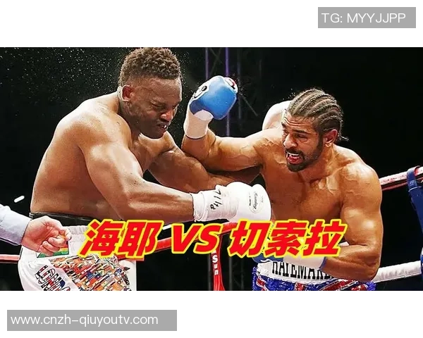 海耶与切索拉的巅峰对决谁能在拳坛上书写传奇新篇